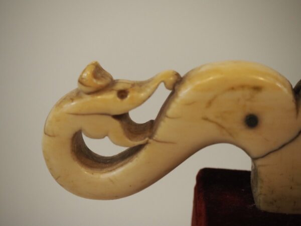 Ivory Crozier Top – Tau Cross, 17th Century or Earlier - Antique from Dullaert Antiques